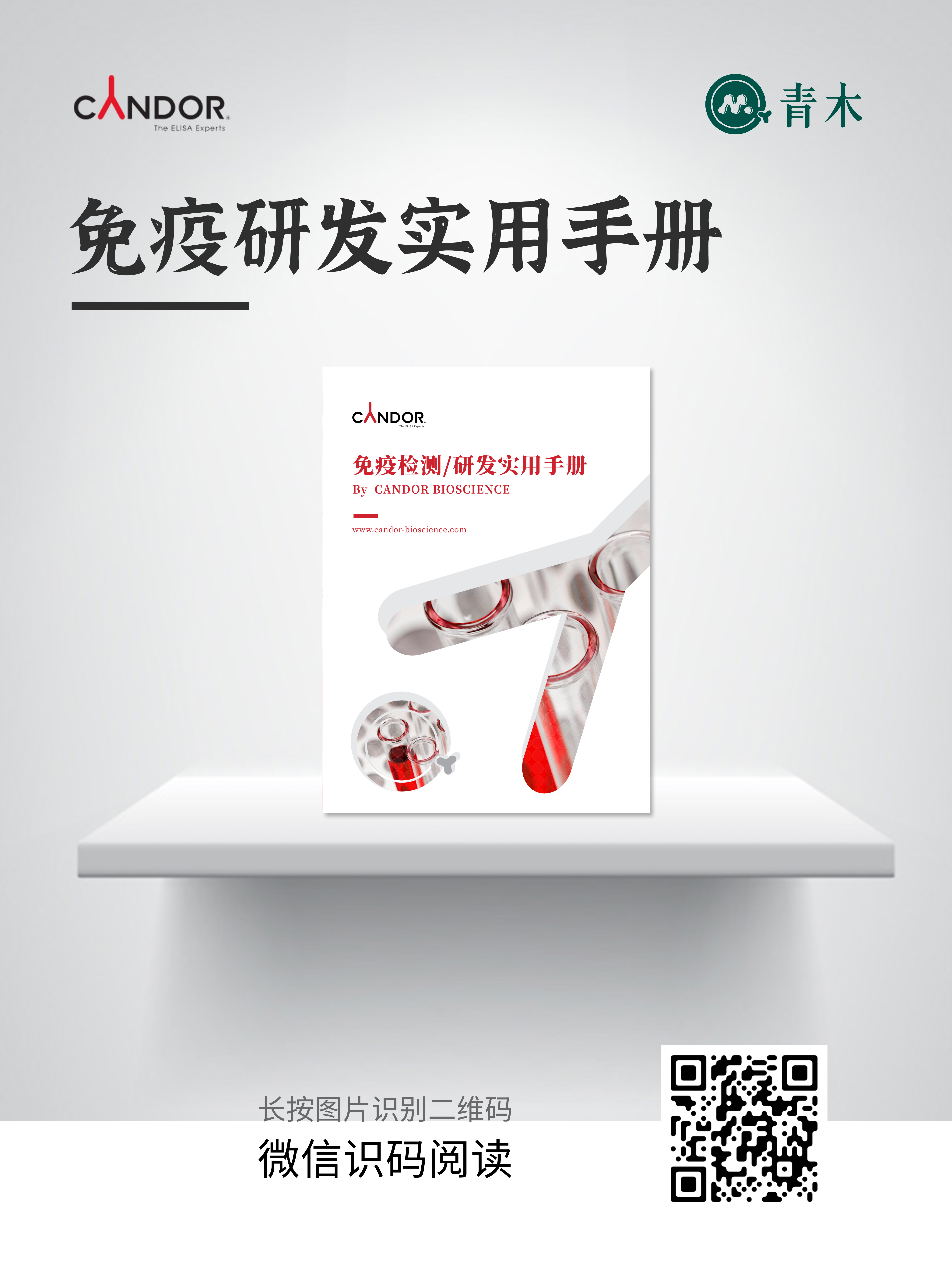 免疫研发看过来哦