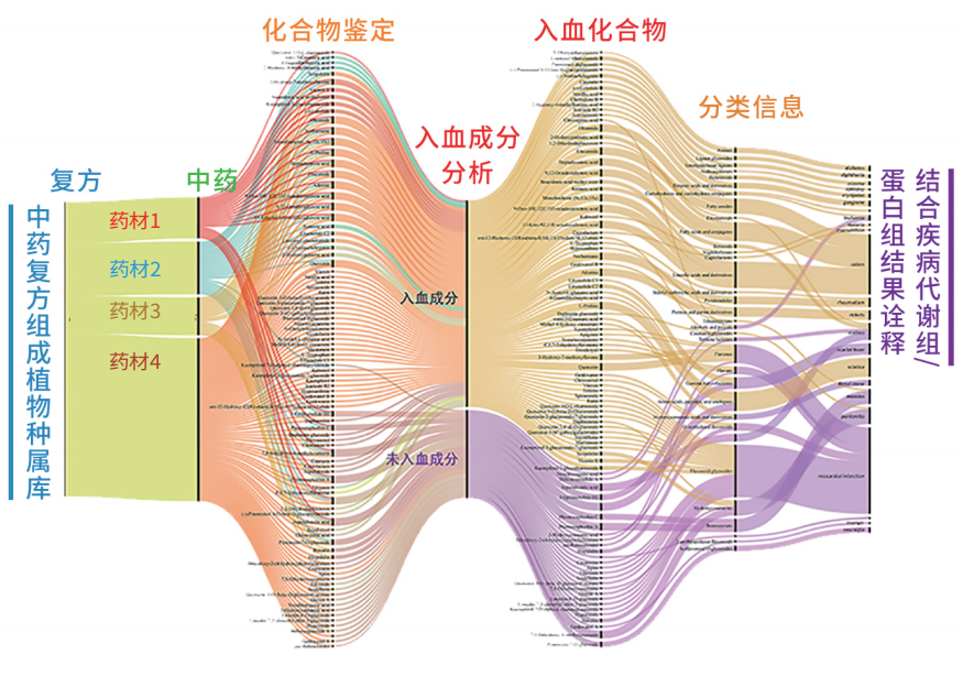技术介绍 | 中药非靶标代谢组学技术路线及研究意义
