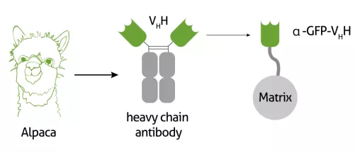60min 完成一次 IP 实验，这技术爱了爱了！