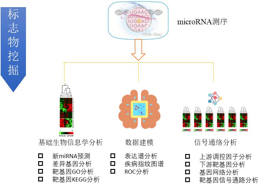 循环 microRNA 作为疾病标志物的发掘 - 企业动态 - 丁香通