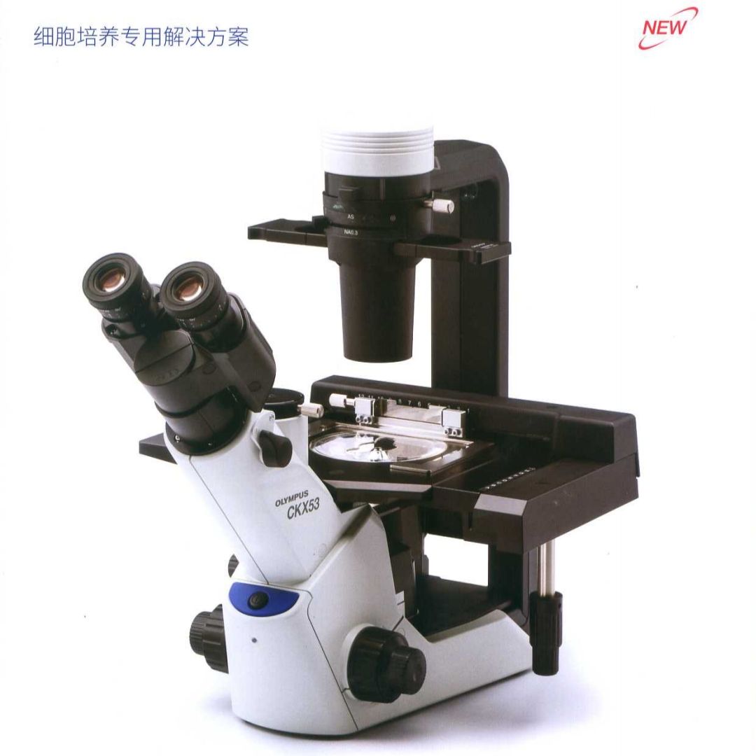  OLYMPUS  培养用显微镜 CKX53