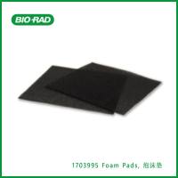 伯乐Bio-Rad1703995 Foam Pads, 泡沫垫，现货