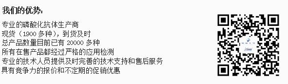 代理：SAB全线产品，部分备有现货，欢迎来电咨询！