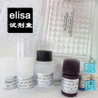 人淋巴细胞因子ELISA试剂盒