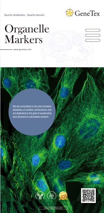 技术资料图片18