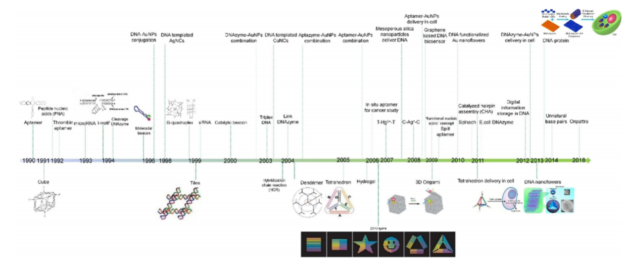 DNA 纳米材料搭建成功与否的检测新选择