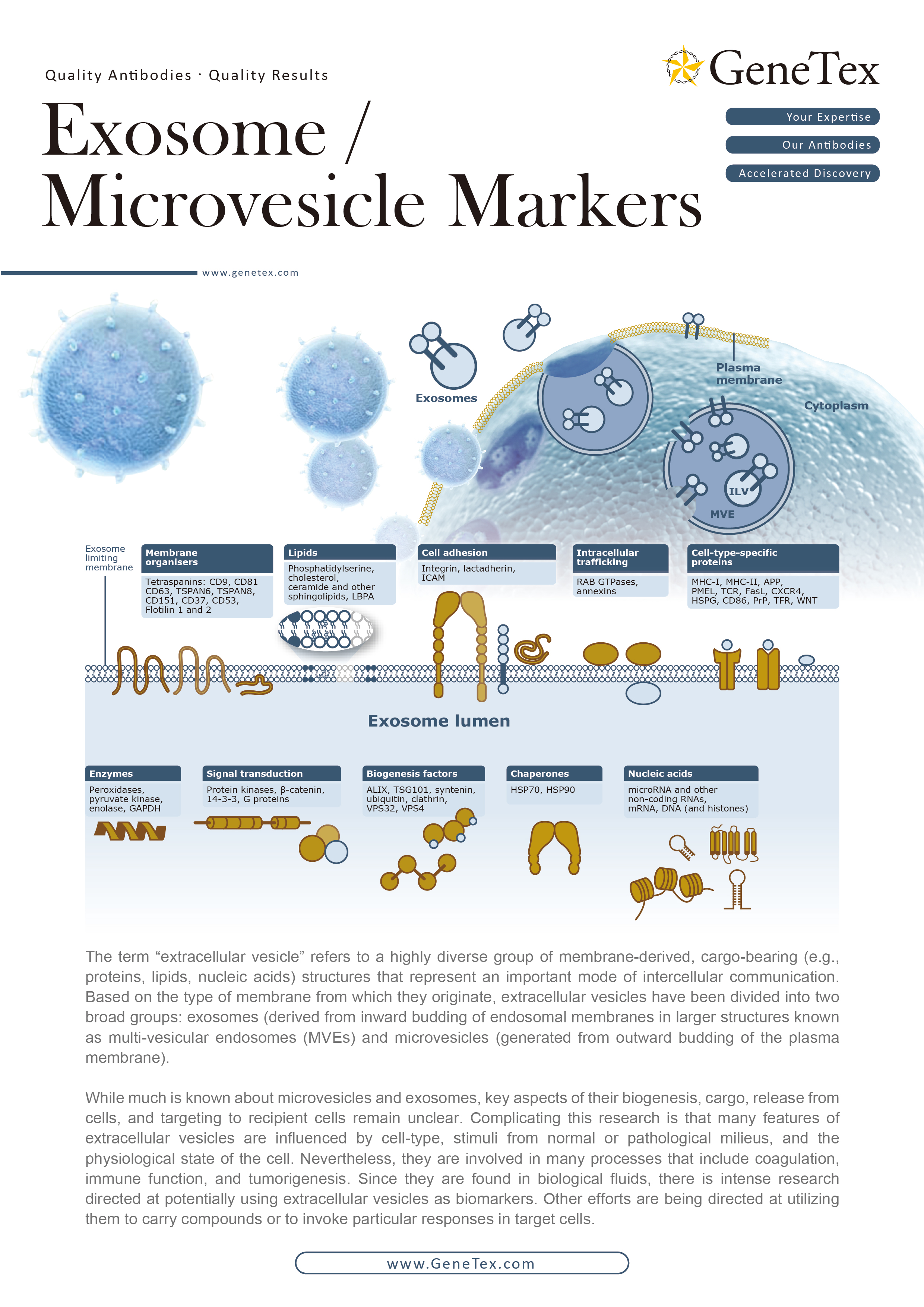 技术资料图片12