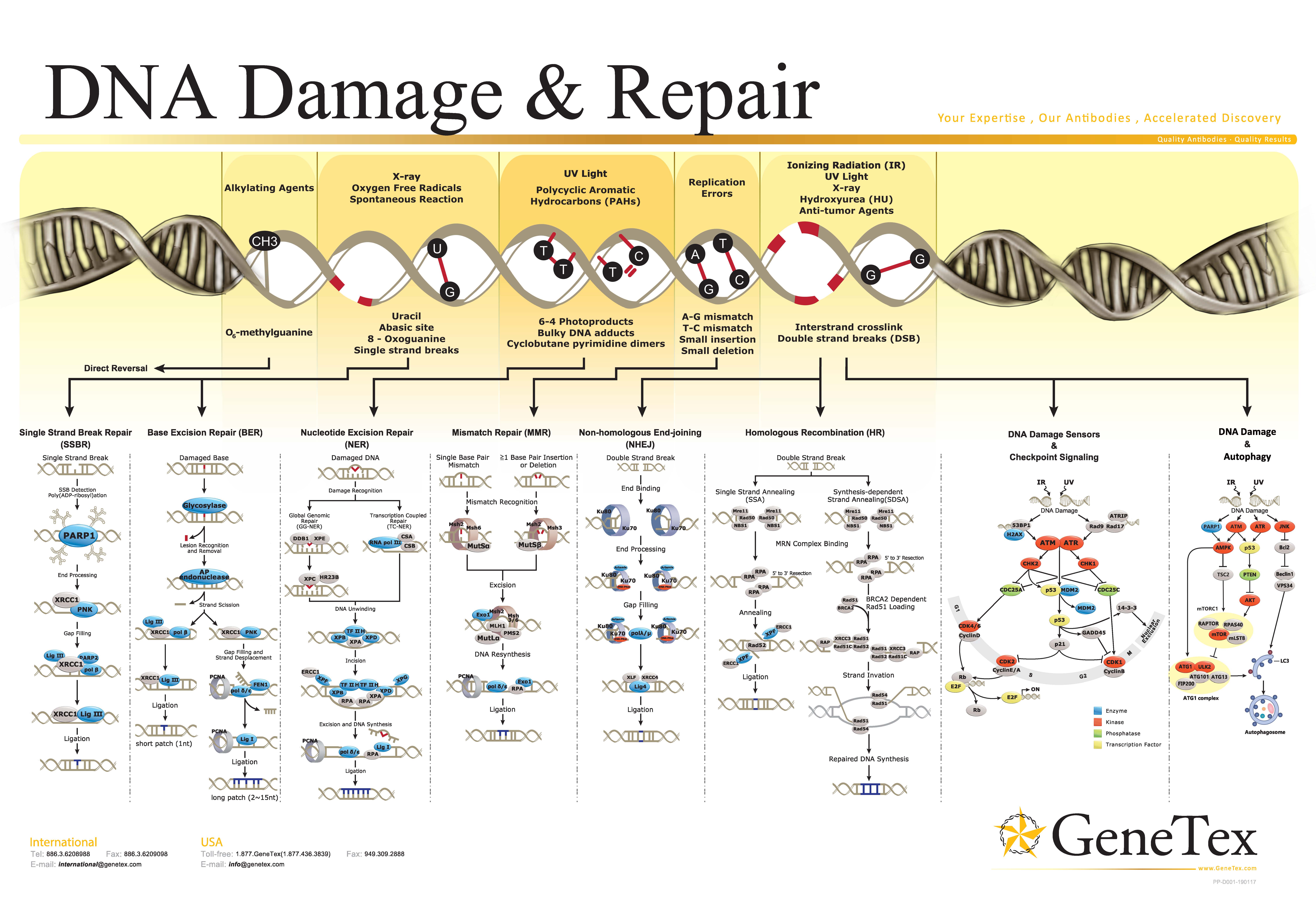 技术资料图片14