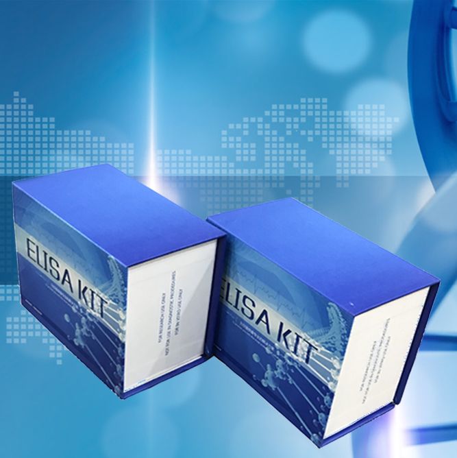 甲氧苄氨嘧啶检测试剂盒