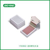 伯乐Bio-Rad1703902Mini Incubation Trays， 迷你孵化托盘，现货