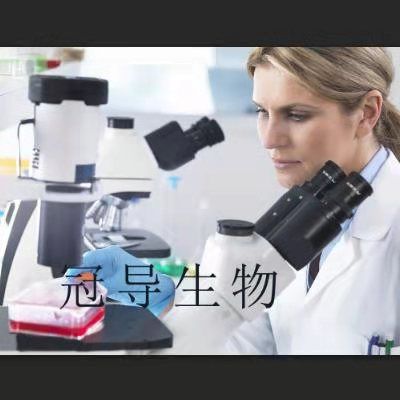 Lieming Xu-2 Cells;人肝星形扩增细胞|STR鉴定图谱
