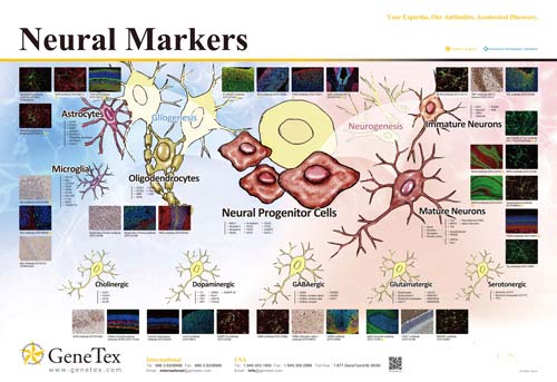 技术资料图片12