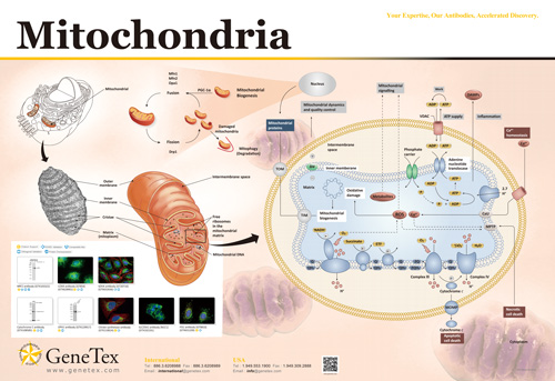 技术资料图片15