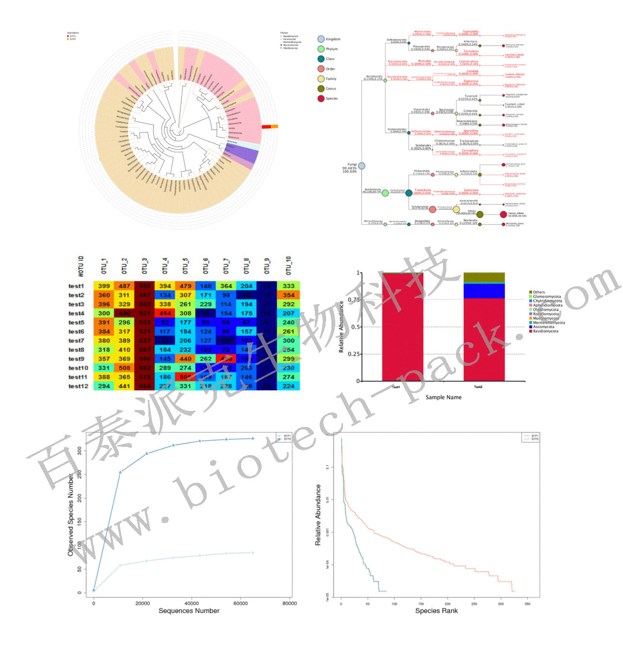 16S/18S/ITS扩增子测序