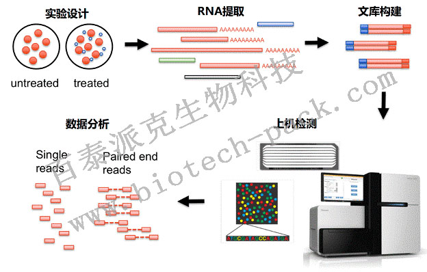 转录组学与代谢组学整合分析