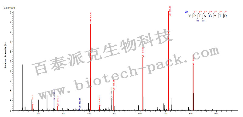 蛋白从头测序和突变分析（De Novo Sequencing）