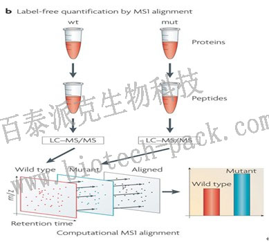 绝对定量分析（AQUA）