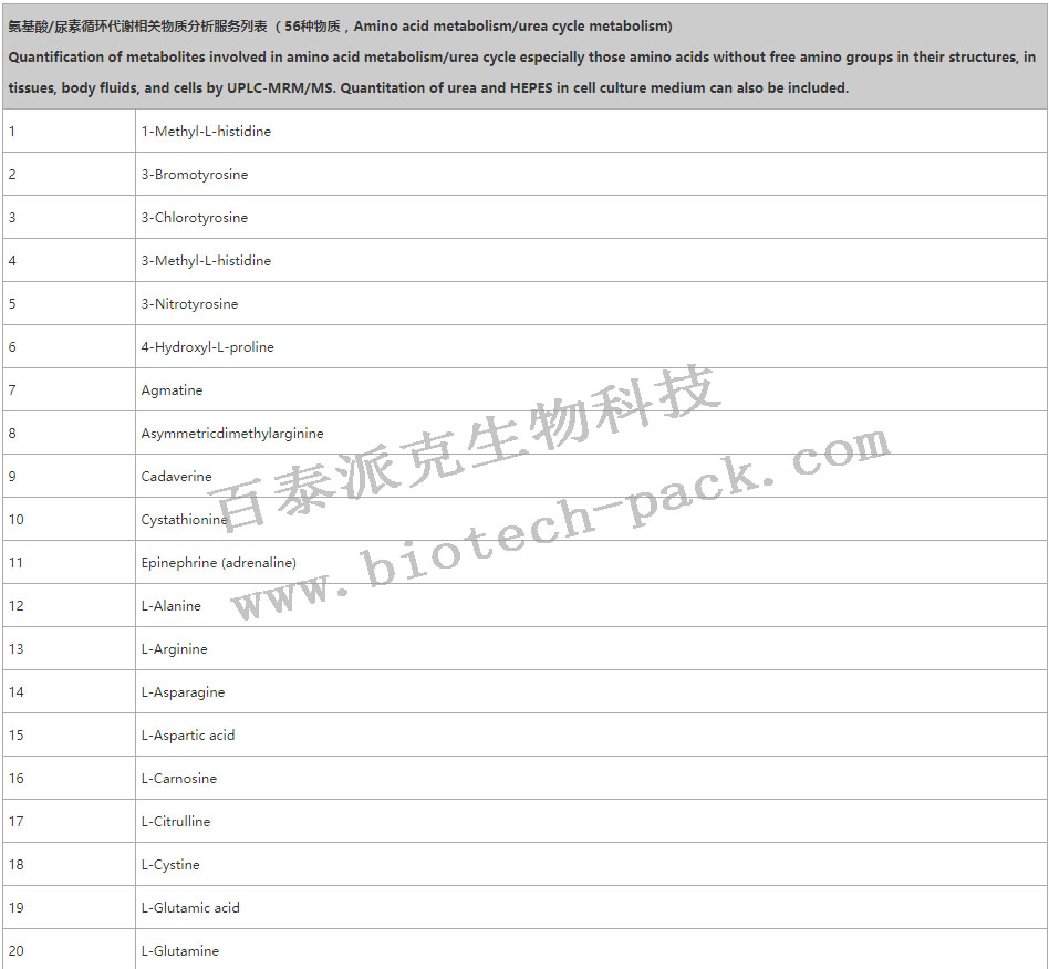 氨基酸/尿素循环代谢相关物质分析