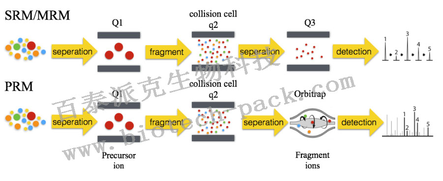 平行反应监测PRM服务
