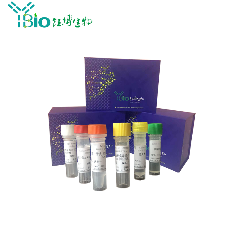 猫支原体探针法荧光定量PCR试剂盒