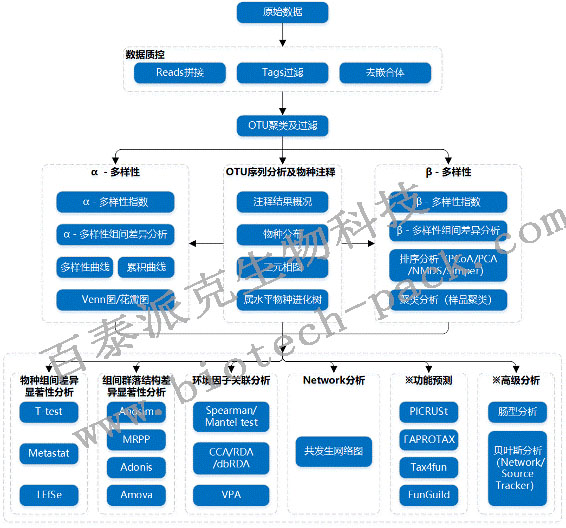 16S/18S/ITS扩增子测序