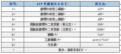 ATP代谢相关物质分析