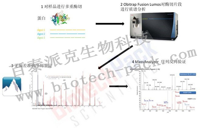 蛋白从头测序和突变分析（De Novo Sequencing）