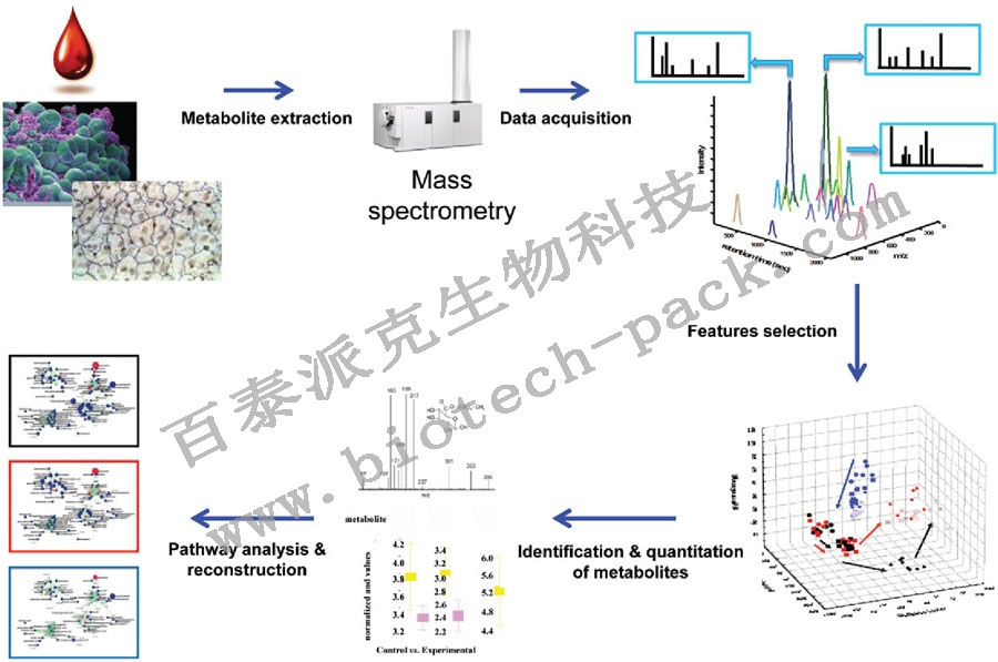 转录组学与代谢组学整合分析