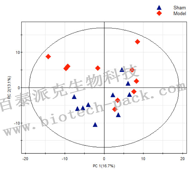主成分分析（ PCA）