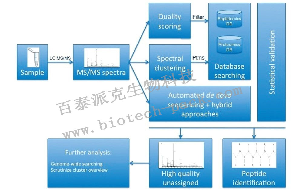 多肽组学分析