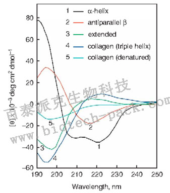 蛋白质圆二色谱分析