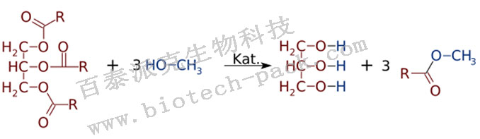 游离脂肪酸（FFA）分析服务