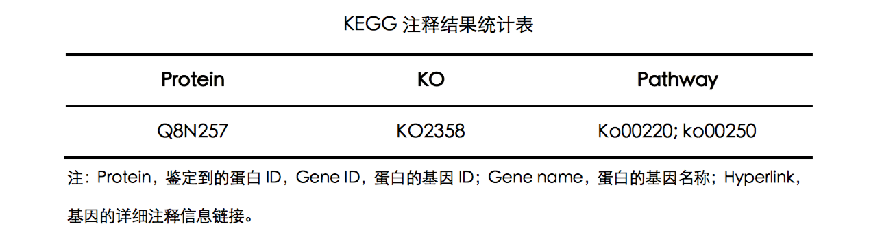 KEGG 注释结果统计表