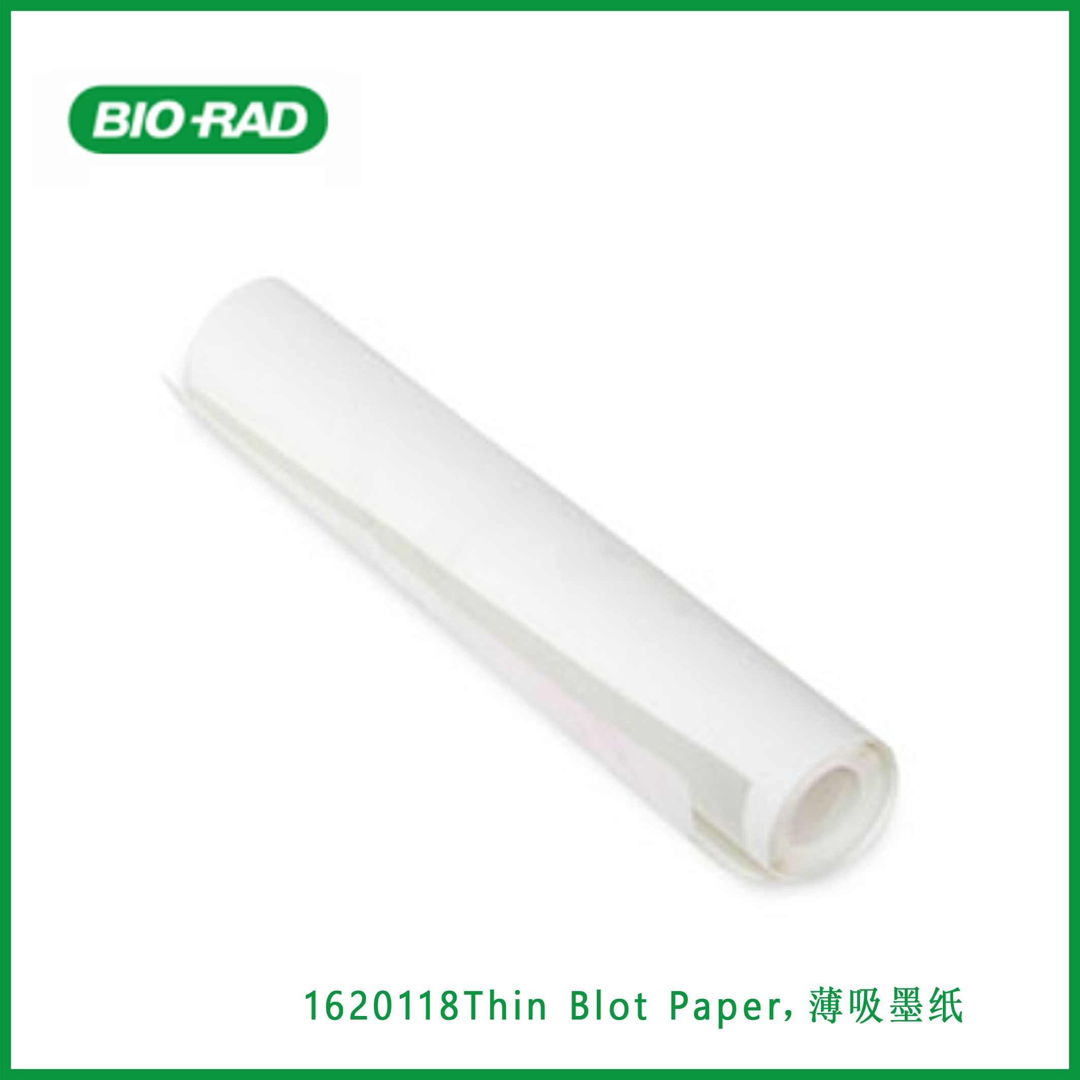 伯乐Bio-Rad1620118Thin Blot Paper,薄吸墨纸,现货