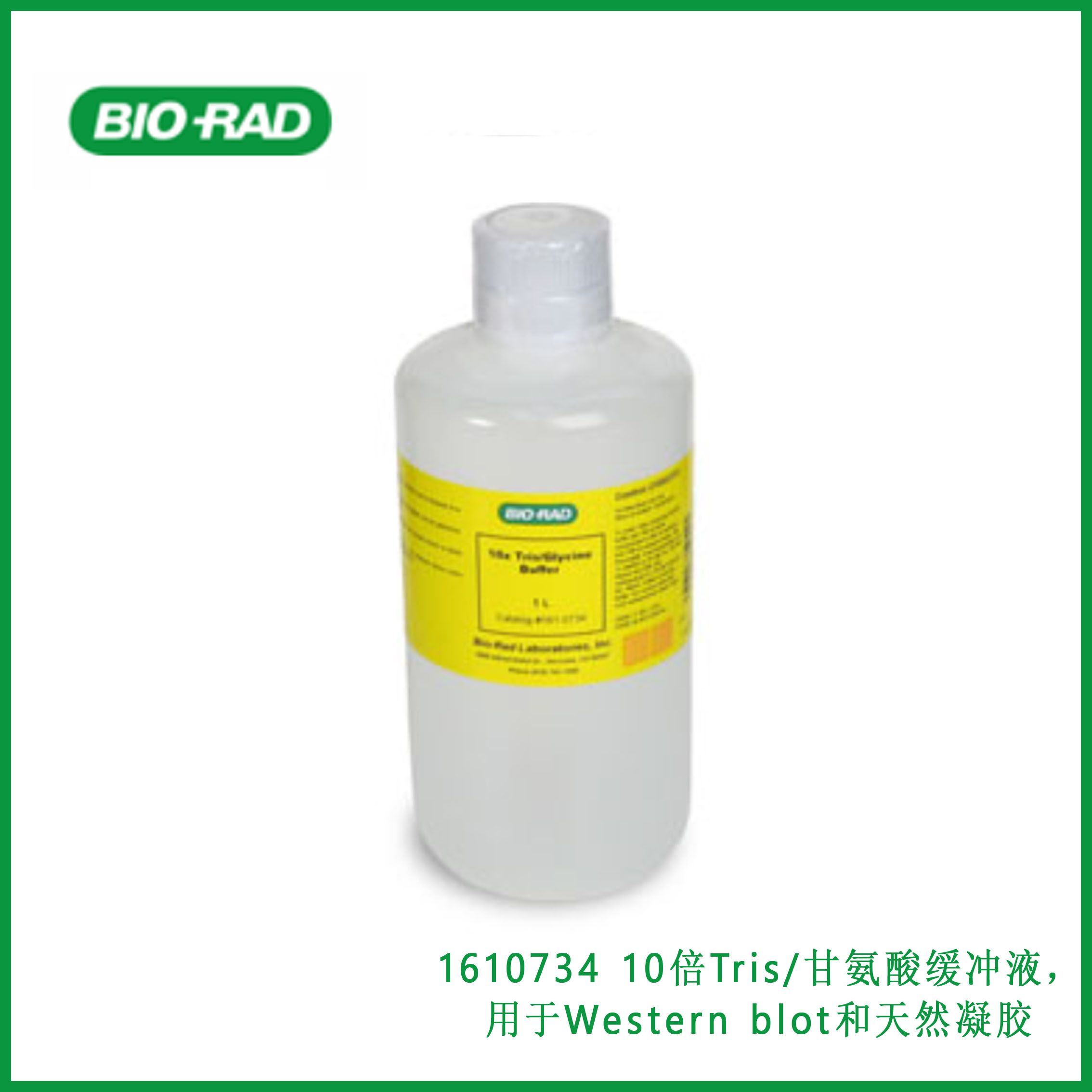 伯乐Bio-Rad1610734 10x Tris/Glycine Buffer for Western Blots and Native Gels，10倍Tris/甘氨酸缓冲液，用于Western blot和天然凝胶,现货