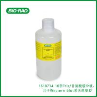伯乐Bio-Rad1610734 10x Tris/Glycine Buffer for Western Blots and Native Gels，10倍Tris/甘氨酸缓冲液，用于Western blot和天然凝胶,现货