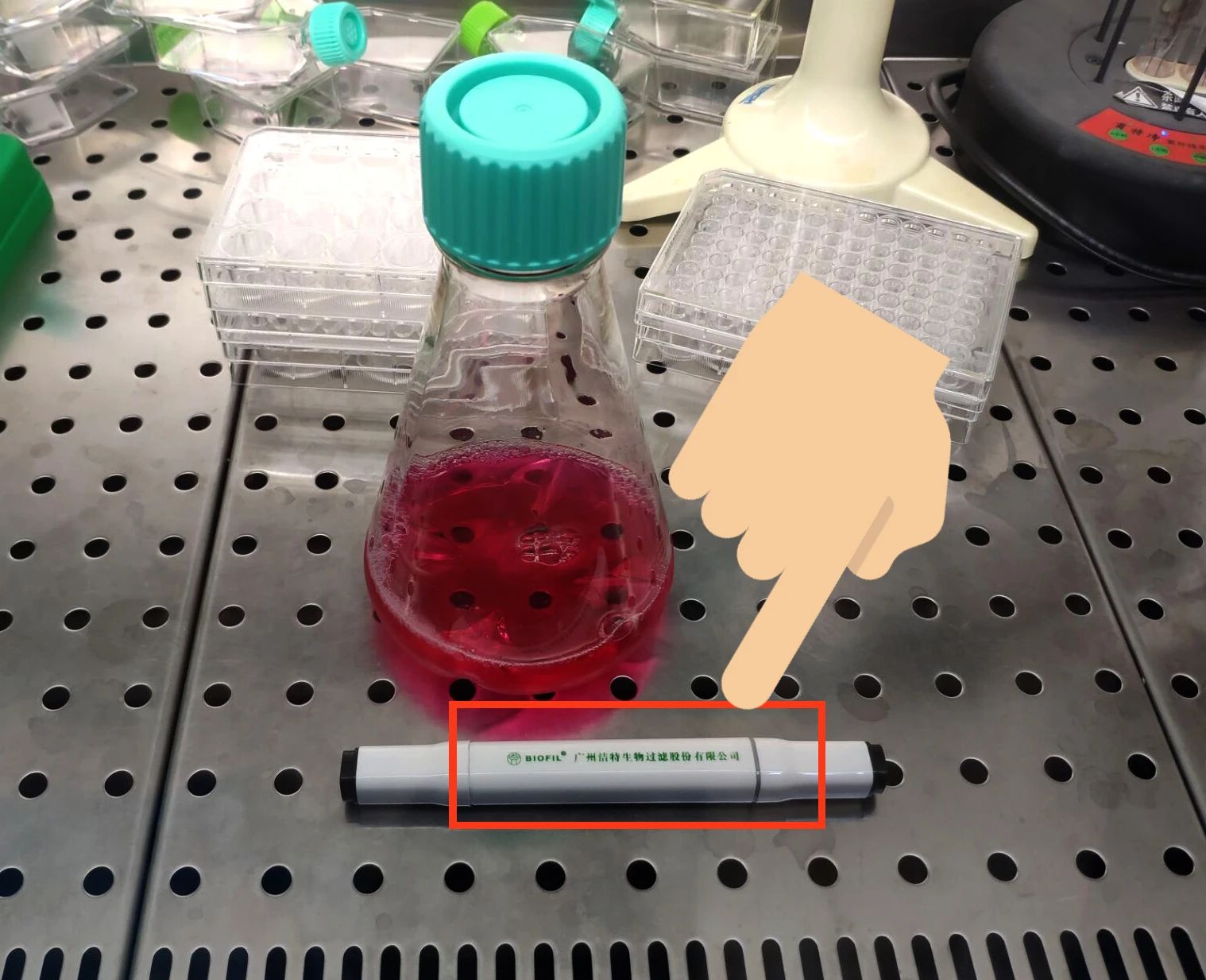 细胞摄影大赛进行中!千元现金、耗材礼包等你来拿