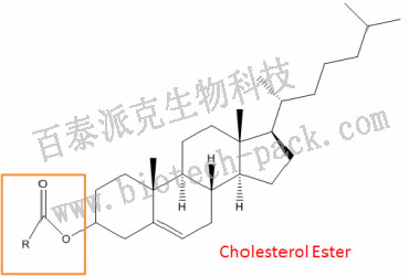 胆固醇酯分析服务