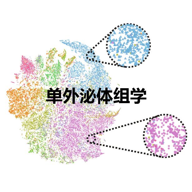 单外泌体蛋白质组学分析服务