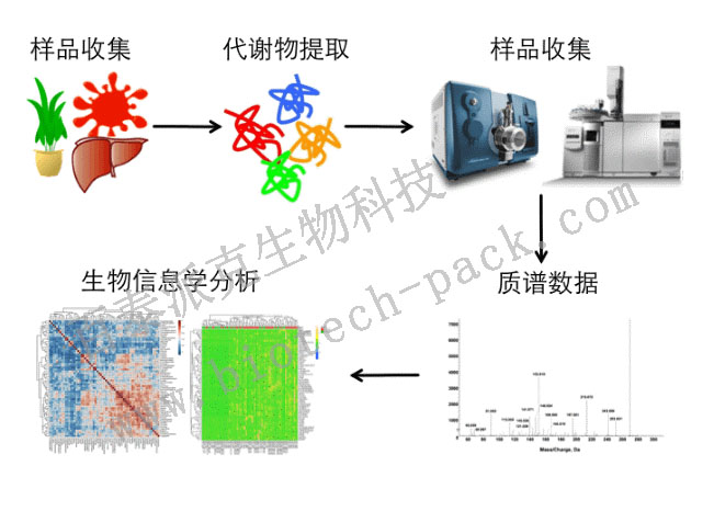 靶向代谢组学