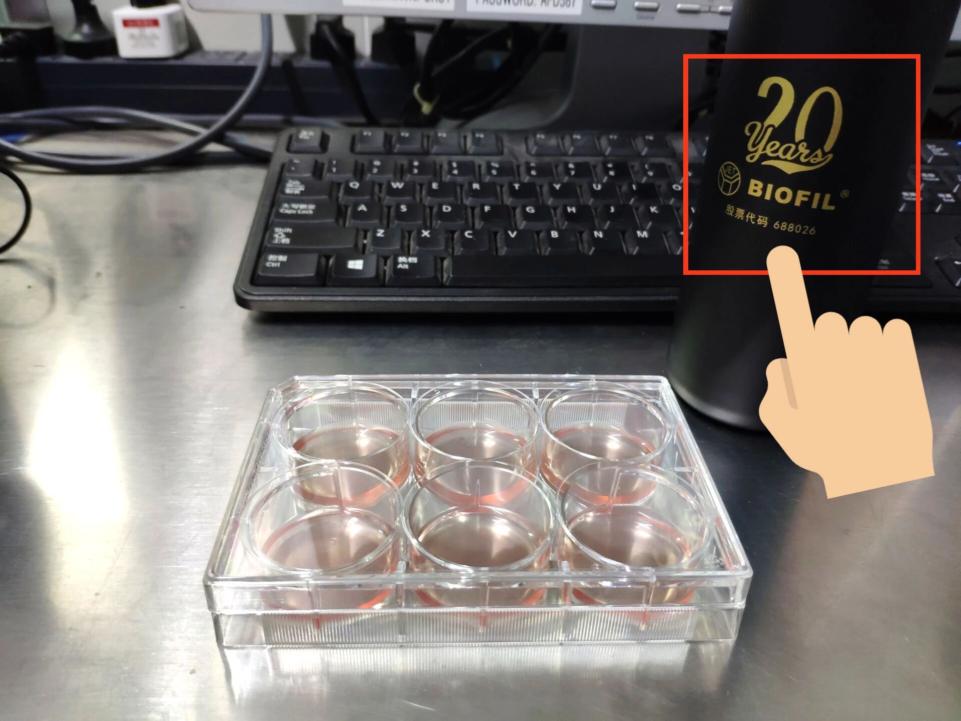 细胞摄影大赛进行中!千元现金、耗材礼包等你来拿