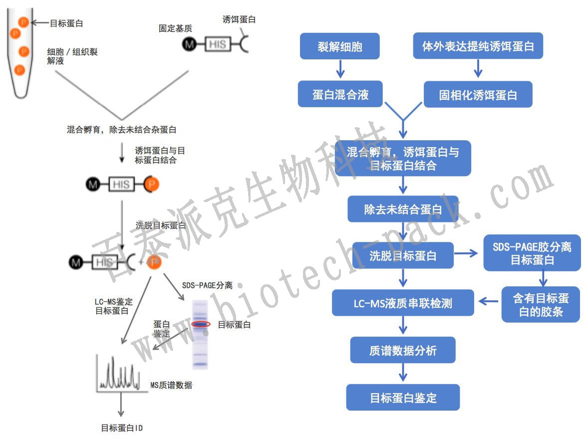 技术资料图片1