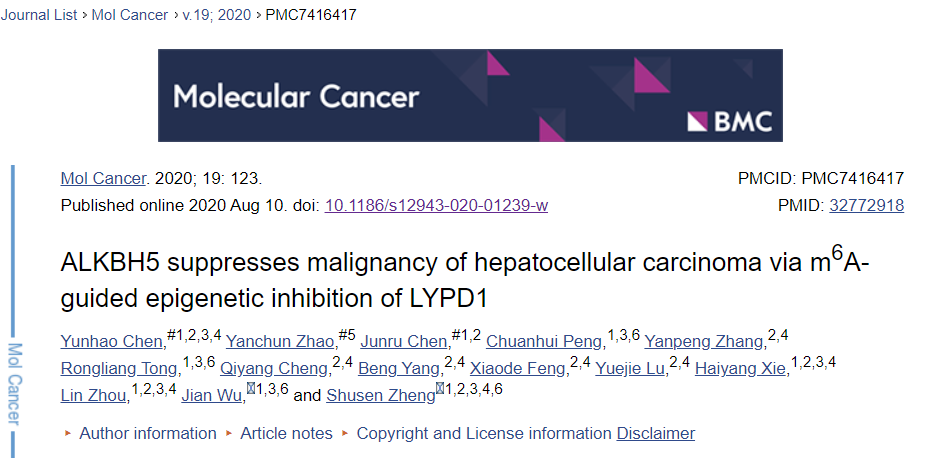 m6A去甲基化酶ALKBH5抑制肝癌的机制