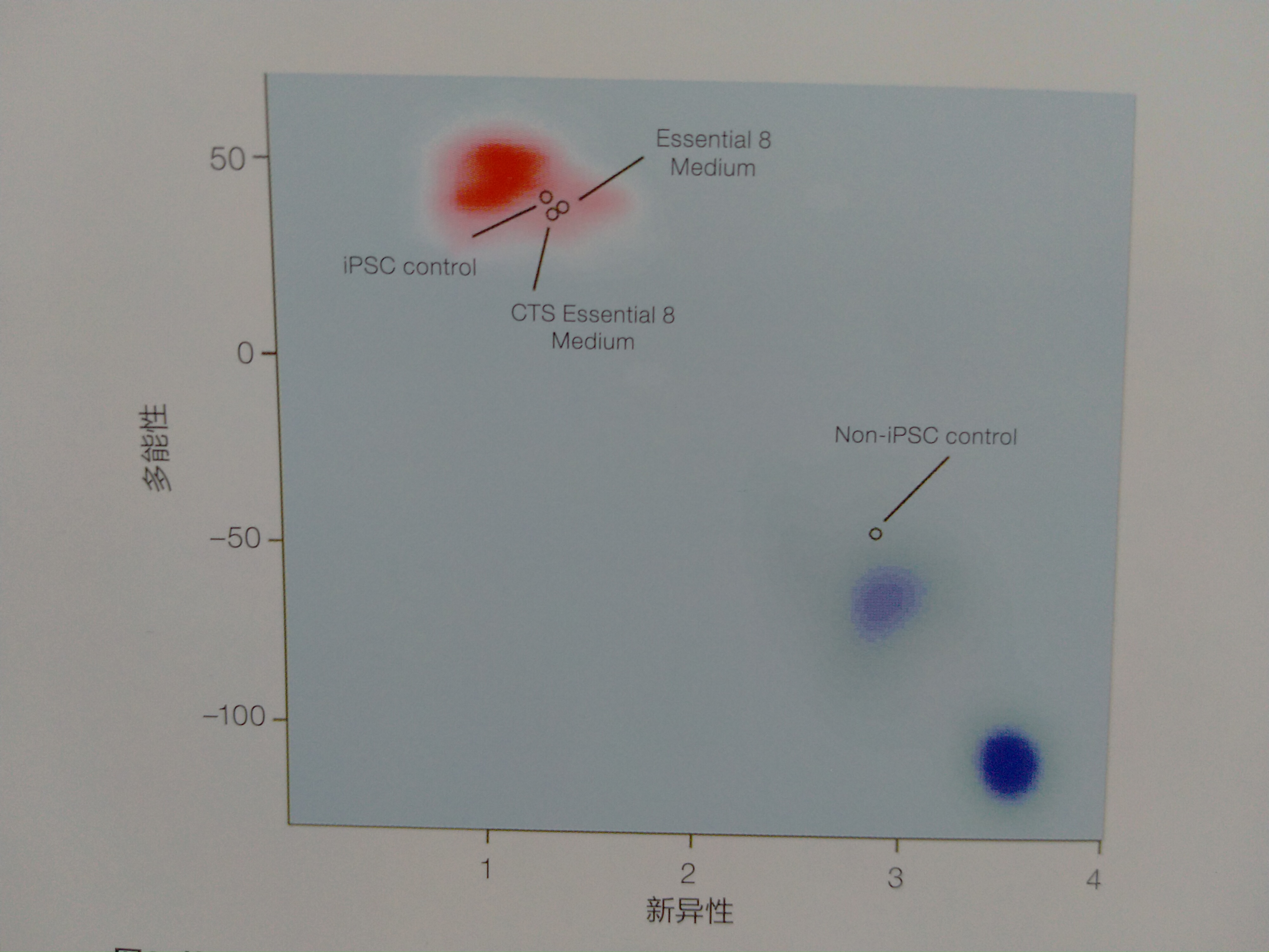 Gibco CTS Essential 8培养基