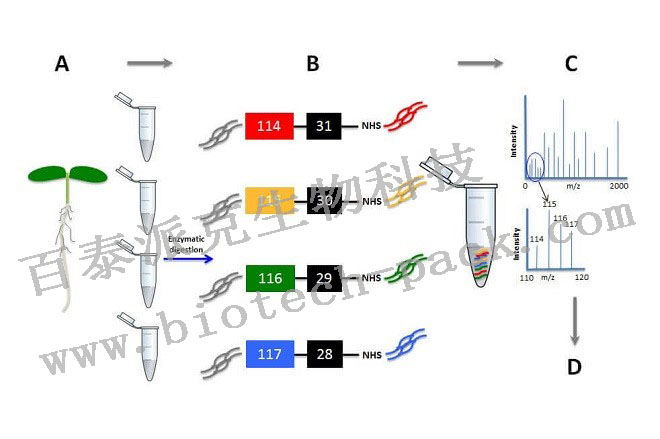 定量蛋白组分析