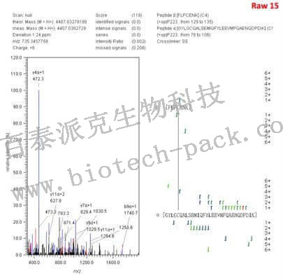 蛋白二硫键鉴定和定量分析