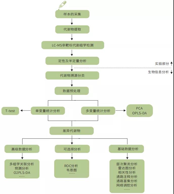 技术介绍 | 一文读懂肠道菌群非靶标代谢组学