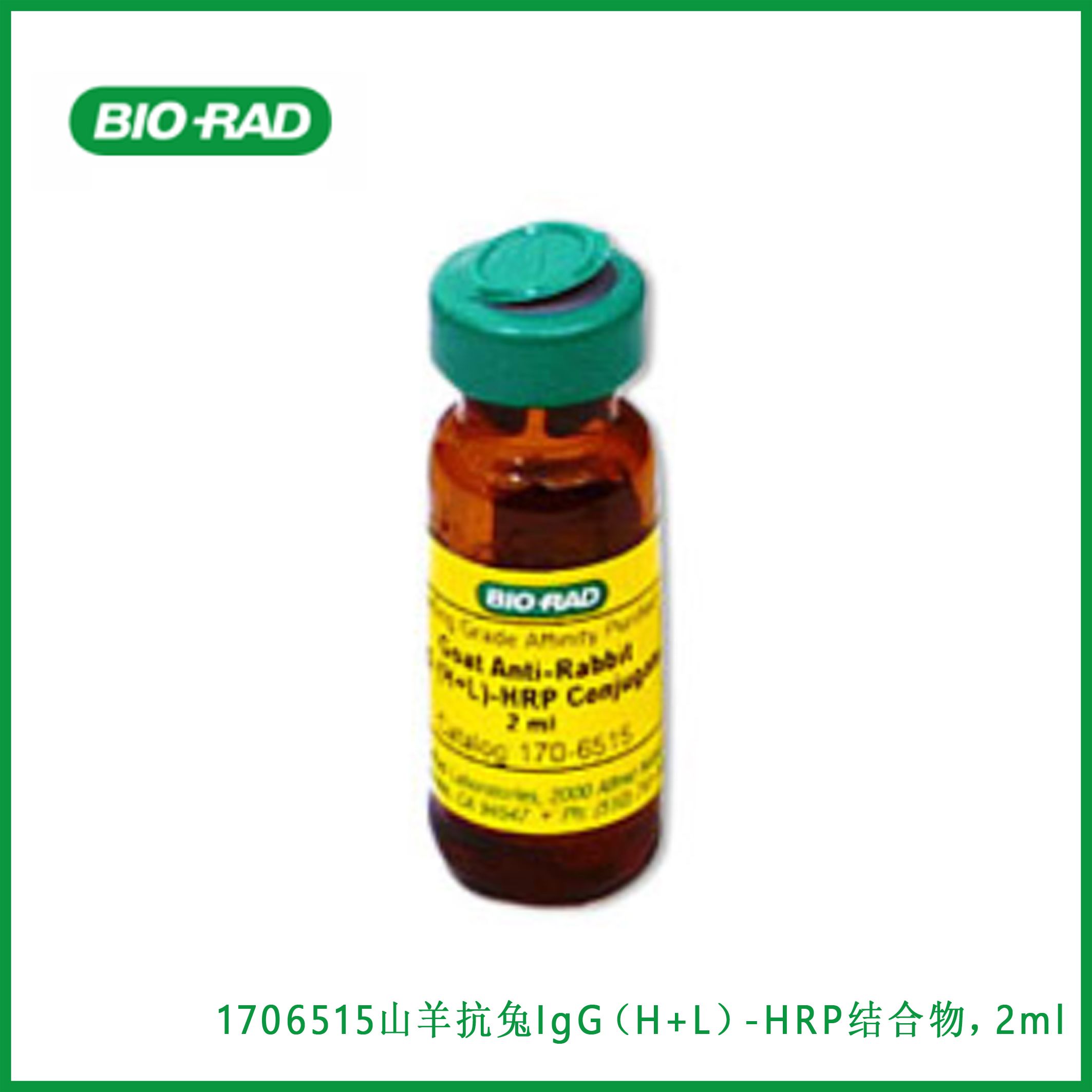伯乐Bio-Rad1706515 Goat Anti-Rabbit IgG (H + L)-HRP Conjugate，2ml，山羊抗兔IgG（H+L）-HRP结合物，2ml，现货
