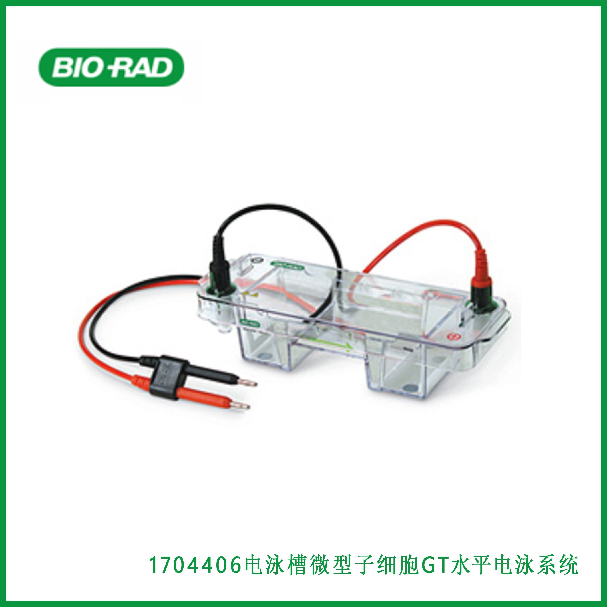 伯乐Bio-Rad1704406Mini-Sub Cell GT Horizontal Electrophoresis System, 7 x 7 cm tray, with casting gates，微型子细胞GT水平电泳系统，7 x 7 cm托盘，带浇铸门，现货