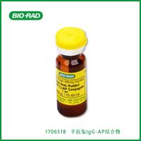 伯乐Bio-Rad1706518 Goat Anti-Rabbit IgG-AP Conjugate, 羊抗兔IgG-AP结合物，现货